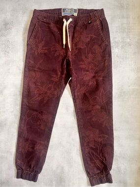 Modern Amusement Maroon Tonal Floral Joggers